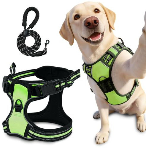 Hundegeschirr, 2026 Neu Anti-Zieh-Geschirr mit Step-in Design, Verstellbares Anti Zug Hundegeschirr, Anti Zieh Geschirr mit Abschleppseil für Hunde jeder Größe (Grün, L)