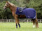Busse Ausreitdecke FLEECETRAINER II, Navy 17_Groessen:145