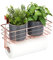 Relaxdays 1x Portaspezie da Appendere, Mensola con Portasciugamani, Cucina & Bagno, Portascottex, HLP: 18x31x17cm, Rame