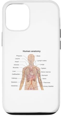 Hülle für iPhone 15 Menschliche Anatomie gekennzeichnetes Diagramm
