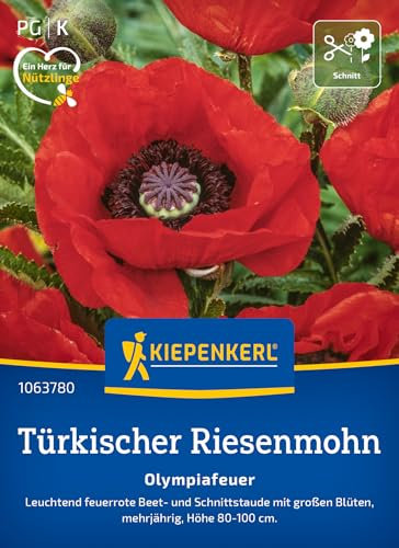 Kiepenkerl Türkischer Riesemohnsamen Olympiafeuer 1063780 – Leuchtende feuerrote Blüten für Ihren Garten – Wildblumensamen, Blumenwiese, Saatgut