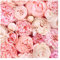 Tapete selbstklebend - Rosen Rosé Koralle Shabby Fototapete, 192cm x 192cm