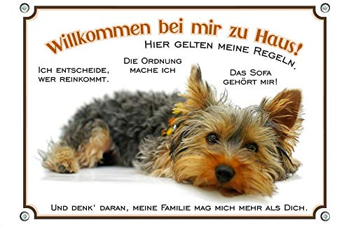 Petsigns Willkommen Yorkshire Terrier - Hundeschild - Lustiges Schild Meine Regeln, DIN A5