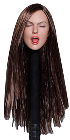 Scakbyer 1/6 Maßstab weiblicher Kopf, Europa Amerika Frauen Puppenkopf kompatibel mit HT, VERYCOOL, TTL und Phicen TBLeague 30,5 cm Körper der Actionfigur – braunes langes glattes Haar