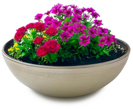matches21 Pflanzschale für draußen - Moderne Dekoschale Champagner beige foliert als Blumentopf Pflanztopf - Schale in 25 x 9 cm für Gartendeko Vogeltränke, Balkon Wohnzimmer Deko