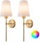 Aiehnid Battery Operated Wall sconces Set of Two,Wall Light Decor with Remote Control,RGB Wall Lights fixtures Wireless,Wall sconces for Bedside,Bedroom,Living Room(Color : Gold)