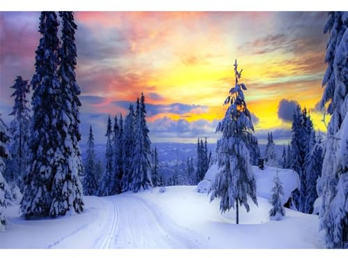 MIRRORANG 3x2m Winterliche Schneekulisse, verschneite, Gefrorene Waldlandschaft, Kiefern im Sonnenaufgang Fotohintergrund für Weihnachtsfeiern, Silvesterpartys und Babypartys