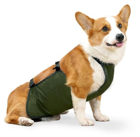 Hund Regenmantel,Haustier Regenmantel, wasserdichte Haustierkleidung Hunderegenjacke Bauchschutz Corgi Regenmantel Hundebauchband Atmungsaktiv Anti Schmutzig Welpen Outfits Doggy(Green,L)