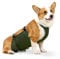 Hund Regenmantel,Haustier Regenmantel, wasserdichte Haustierkleidung Hunderegenjacke Bauchschutz Corgi Regenmantel Hundebauchband Atmungsaktiv Anti Schmutzig Welpen Outfits Doggy(Green,L)