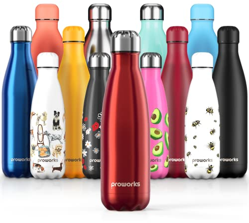 Proworks Edelstahl Trinkflasche | 24 Std. Kalt und 12 Std. Heiß - Premium Vakuum Wasserflasche - Perfekte Isolierflasche für Sport, Laufen, Fahrrad, Yoga, Wandern und Camping - 350ml - Rot