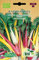 Germisem Mangold RAINBOW MIX, ECBIO7026
