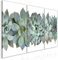 murando - Wandbilder XXL Sukkulenten 120x60 cm Vlies Leinwandbild 3 tlg Kunstdruck modern WanBilder XXL Wanddekoration Design Wand Bild Natur Blumen Botanik Abstrakt b-B-10028-b-a