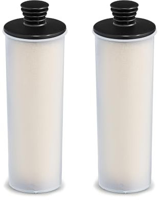 Carkio 2Pack Descaling Cartridge Filter for Karcher,Steam Cleaner Replacement Decalcification Cartridge for Karcher SC2 Upright,SC3 EasyFix,SC3 Upright EasyFix,SC3 Upright,SC3MX Vacuum Cleaner