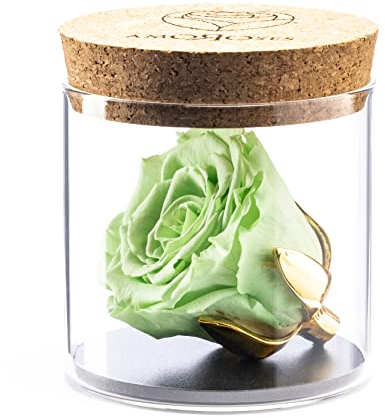 Amoroses Bijou - Rosa Stabilizzata Eterna con calice placcato oro 24K in barattolo di vetro | Idea Regalo (Rosa Verde Menta)