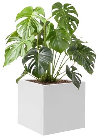 QRANSEUYXY Vaso per piante a cubo, 60 x 60 x 60 cm, per interni ed esterni, quadrato, per giardini, ingressi, terrazze, cortili (bianco)