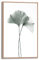 REINDERS Gerahmtes Bild, Ginkgo Blatt, Wohnzimmer, Bilder, Wanddeko, Room Decor, MDF, Grün, 30x20cm