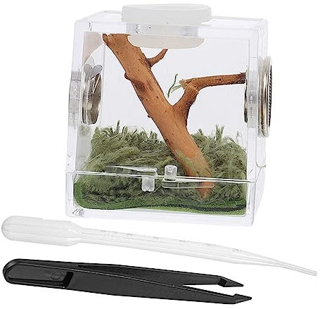 Sosoport 3 Sätze Springspinnen-zuchtbox Set Für Schneckenterrarium Schneckenbecken Fangkäfig Spinnenfall Springender Spinnenlebensraum Spinnentropfer Spinnen-Terrarium Miniträger Tier Acryl