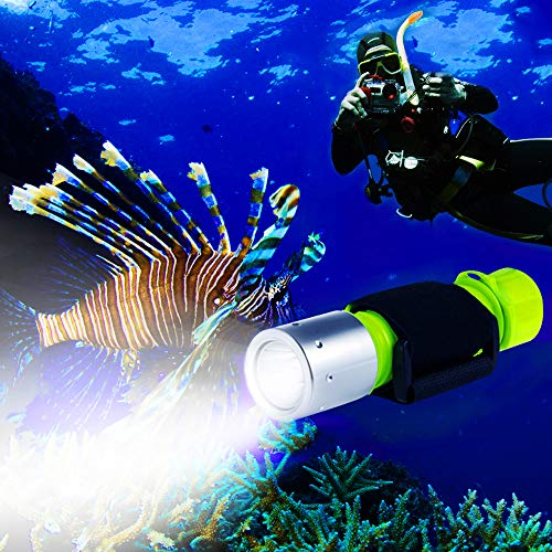 BlueFire Linterna de Buceo, Linterna LED Subacuática de 1100 Lúmenes, Mini Linterna Profesional Impermeable para Exteriores, Deportes y Buceo