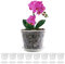 Kitypartsy Pots à orchidées, pots transparents de 17 cm avec trous pour rempotage