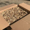 Jumbogras® Einstreu-Snips gepresste Pferde- und Groß-Tier Miscanthus-Stroh|Elefantengras-Streu für Pferde-Boxen, Stall und Paddock statt Sägespänen (3 x 20 kg Karton)