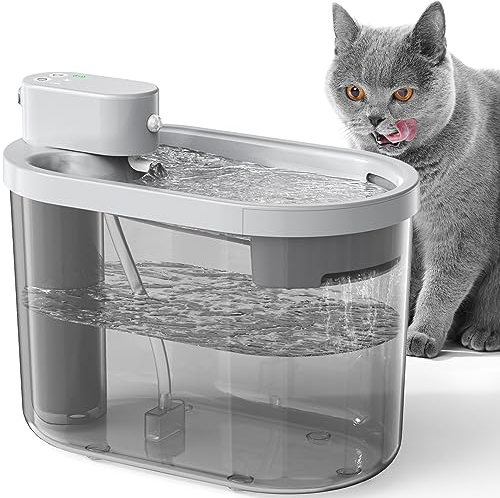 Wireless Cat Water Fountain for Drinking with Motion Sensor, 74oz/2.2L Automatic Cat Water Bowl, Rechargeable Battery Operated Cat Water Fountain, Ultra Quiet Cordless Pet Drinking Fountain for Cats