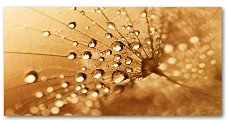 Tulup Leinwandbild - Wandkunst - Drucke auf Leinwand - Leinwanddruck -100x50 cm - Blumen & Pflanzen - Braun - Pusteblume