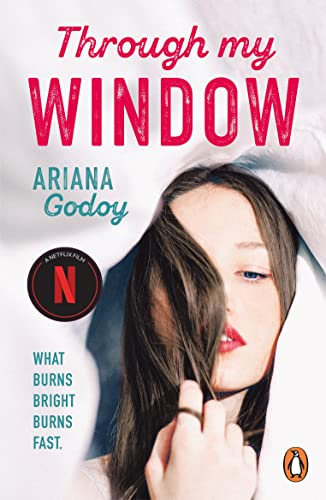Through My Window: The million-copy bestselling Netflix sensation! (English Edition)