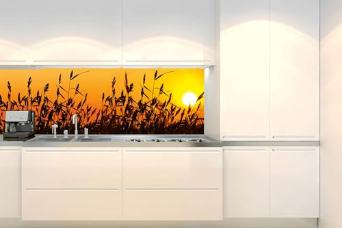Dimex Küchenrückwand Folie Selbstklebend Schilf I 180 x 60 cm | Klebefolie - Dekofolie - Spritzschutz für Küche | Made in EU