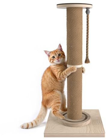 Cat Scratching Post, 32 Inch Tall Scratching Post for Indoor with Hemp Rope and Track Toy ball Cat Scratcher for Medium and Large Cats