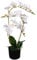 vidaXL Orchidea Artificiale in Vaso 65cm Bianca Piante Finte Fiori Arredo Casa