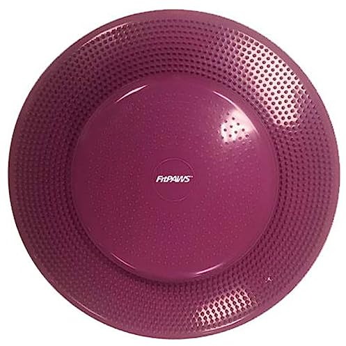 FitPAWS Balance Disc - Razzleberry - 56 cm