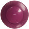 FitPAWS Balance Disc - Razzleberry - 56 cm