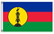 Stormflag Drapeau Nouvelle - Calédonie 90x150cm Drapeau Nouvelle Calédonie 3x5ft polyester 90g/m2 avec œillets et Double couture