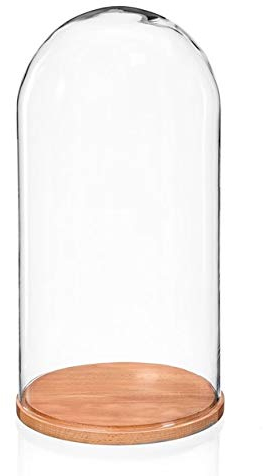 EMH Piccola campana in vetro con base in legno naturale, 20 x 10 cm