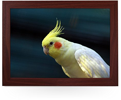 Portable Lap Desk Tray (Cockatiel) Handmade Wooden Frame, Beanbag Cushioned Bottom | Computers, Laptops, Meals, Food | L0181 Brown