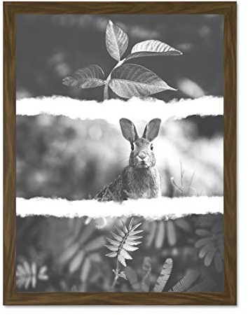 Fine Art Prints Schwarz-weißes Triptychon, Hase, groß, gerahmt, Kunstdruck, Poster, Wanddekoration, 45,7 x 61 cm