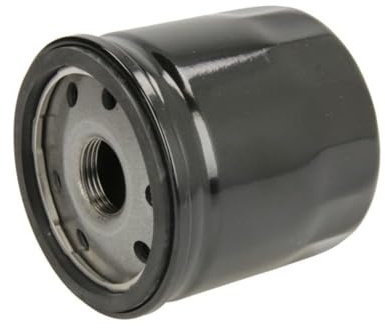 FILTRON, OP 629/4 Ölfilter | Für PKW, Zuverlässiger Motorschutz, Optimaler Ölfluss, Robuste Bauweise, Entwickelt für Optimalen Schutz