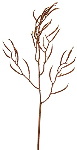 Dadeldo Home Kunstblume Stiel -Birke- 40cm braun Dekoration Kunstpflanze