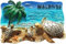 Malediven Turtles Malediven Magnet Kühlschrank Kühlschrank Magnet Dekoration Aufkleber Souvenir Harz Handwerk Küche Whiteboard