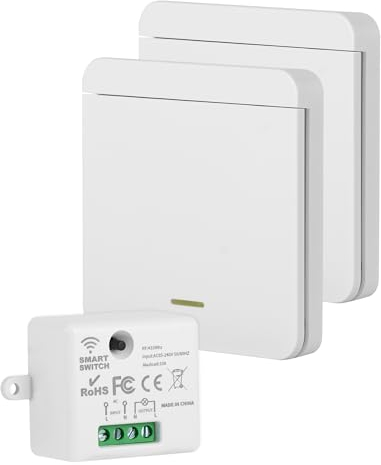 LAOYE 2 Interruttore Senza Fili della Luce 433Mhz 220V Interruttore Wireless Interruttore Senza Fili per Luci Interruttori Wireless per Lampada Fino a 1500W (Controller Ricevitore 10A)