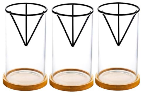 Reinscer Juego de 3 jarrones de cristal para semillas de aguacate con soporte triangular y base de bambú