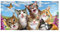YISUMEI - Badetuch - Katzen Selfie - 70 cm x 140 cm Strandtuch