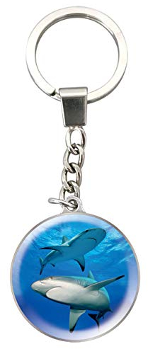Deluxebase Magnidome Schlüsselanhänger - Haifisch Kristallglas Schlüsselring Charme. Gewölbter Haifisch Bildschlüsselring mit einer Edelstahlkette