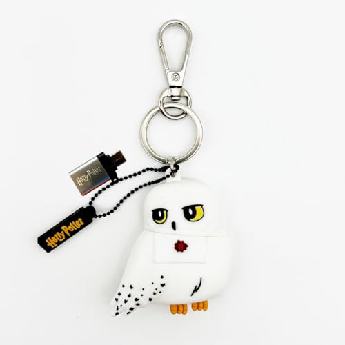 WONDEE Disney Harry Potter Eule [ 2 in 1 ] Schlüsselanhänger + USB und USB C Stick Lustig 32gb Hedwig Figuren mit zusätzlichem USBC Adapter- Harry Potter Geschenke für Kinder, Frauen und Männer