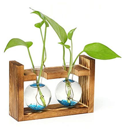 Creatwls Hydroponic Container Desktop Glass Planter Bulb Vase with Solid Wooden Stand for Propagating Hydroponics Plants Home Garden Wedding Decor