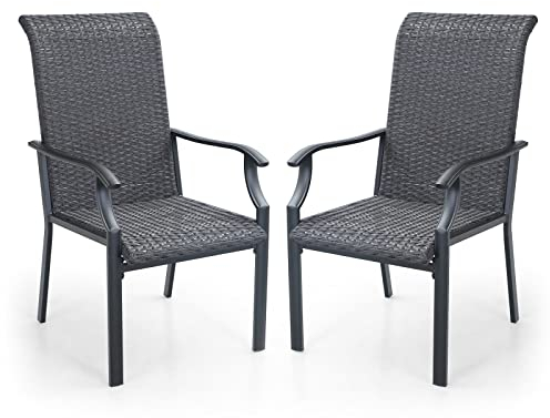 PHI VILLA Gartenstühle Set of 2 Rattanstühle für draußen Terrassenstuhl Metall Pulverbeschichtung Balkon Gartenmöbel