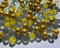 FAIRY TAIL & GLITZER FEE 100 Murmeln Gold Klare Mischung Glaskugeln 16mm Murmelspiel Gold klar Murmel
