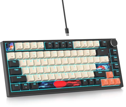 SOLIDEE Clavier de Jeu mécanique Filaire 75% remplaçable à Chaud,Clavier rétroéclairé RVB,Gasket TKL 82 Touches,Clavier Compact NKRO avec Bouton de contrôle du Volume(82 Big Carbon)