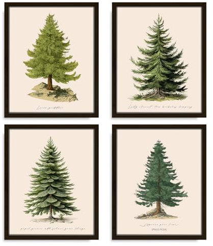 VIYYIEA Weihnachtsbaum-Drucke – 20,3 x 25,4 cm, Winterdekoration, Vintage, botanische Tanne, Weihnachtsbaum-Poster für Raumdekoration, 4 Stück