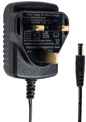 JSSANDAN 6V Battery Charger for Kids Electric Ride On Car, Motorcycle, Quad Bike, Sports Car